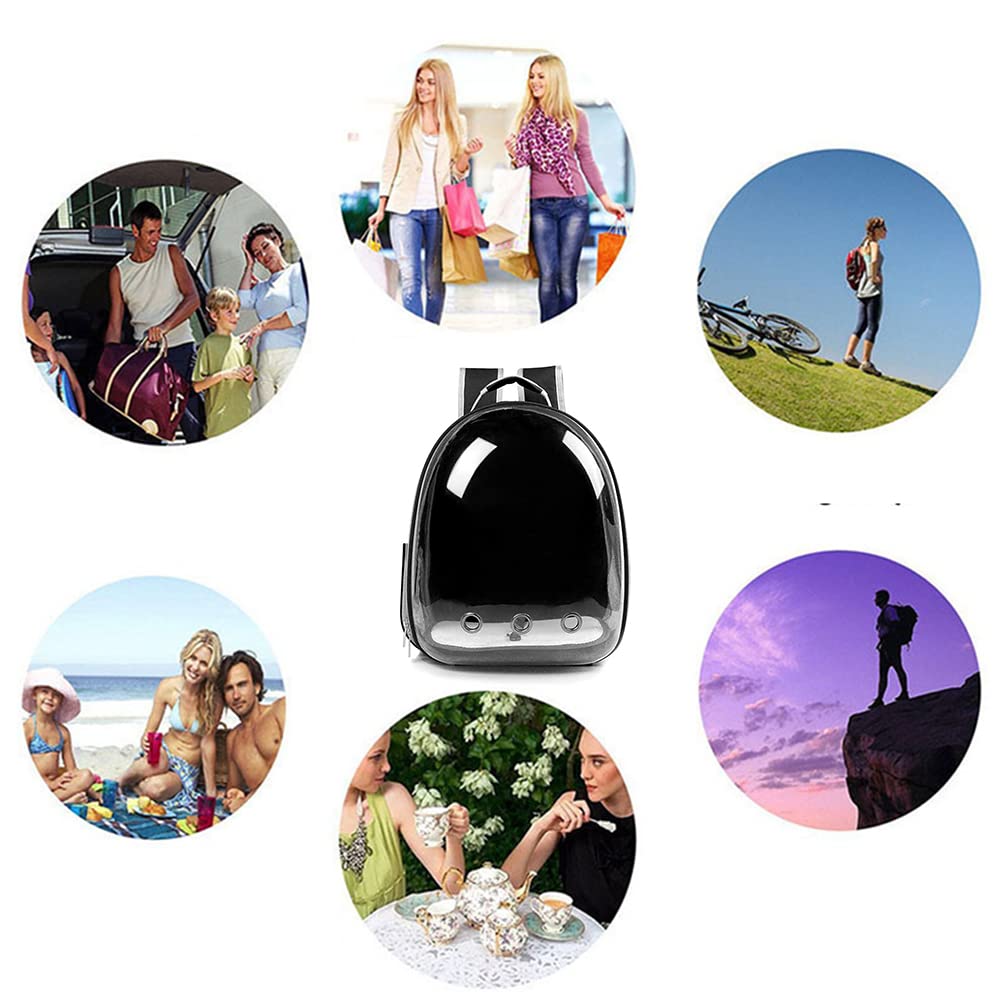 Transparent Bubble Pet Backpack Carrier W613383