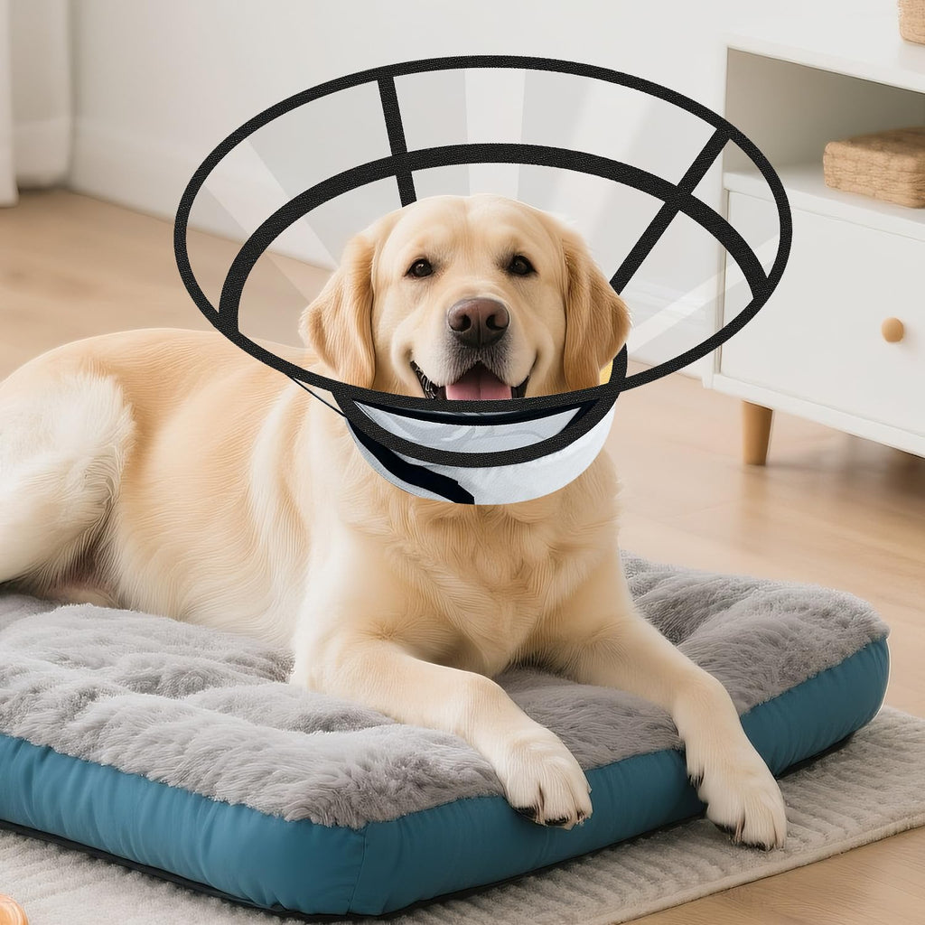 Inflatable Dog Cat Cone Collar with 2PCS Cover Y1000