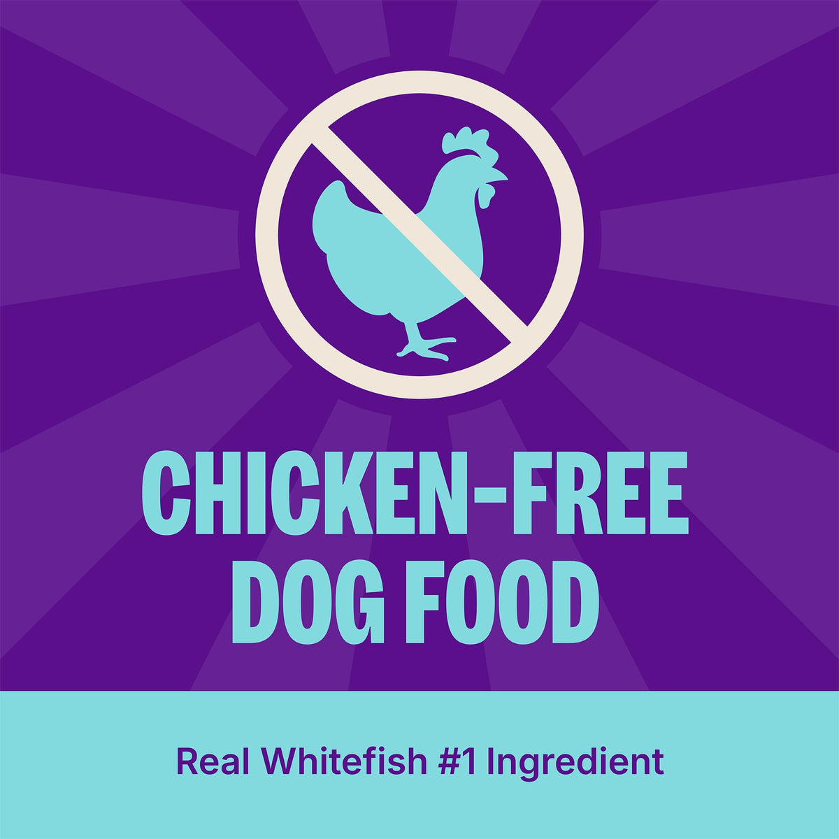 Dry Dog Food Whitefish and Brown Rice 4 lb Bag O117