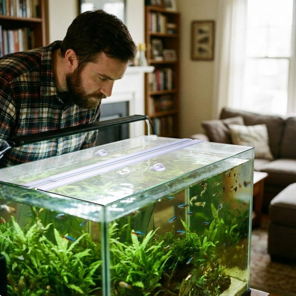 Aquarium Glass Canopy 19.33" x 9.65" x 0.12" T555