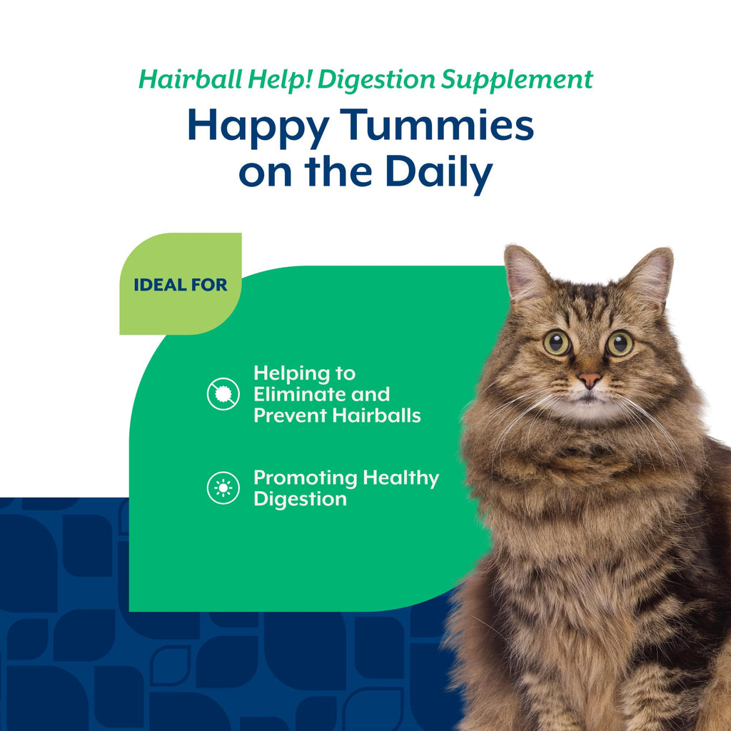Hairball Aid Supplement for Cats Plus Pumpkin 60 Soft Chews Q934