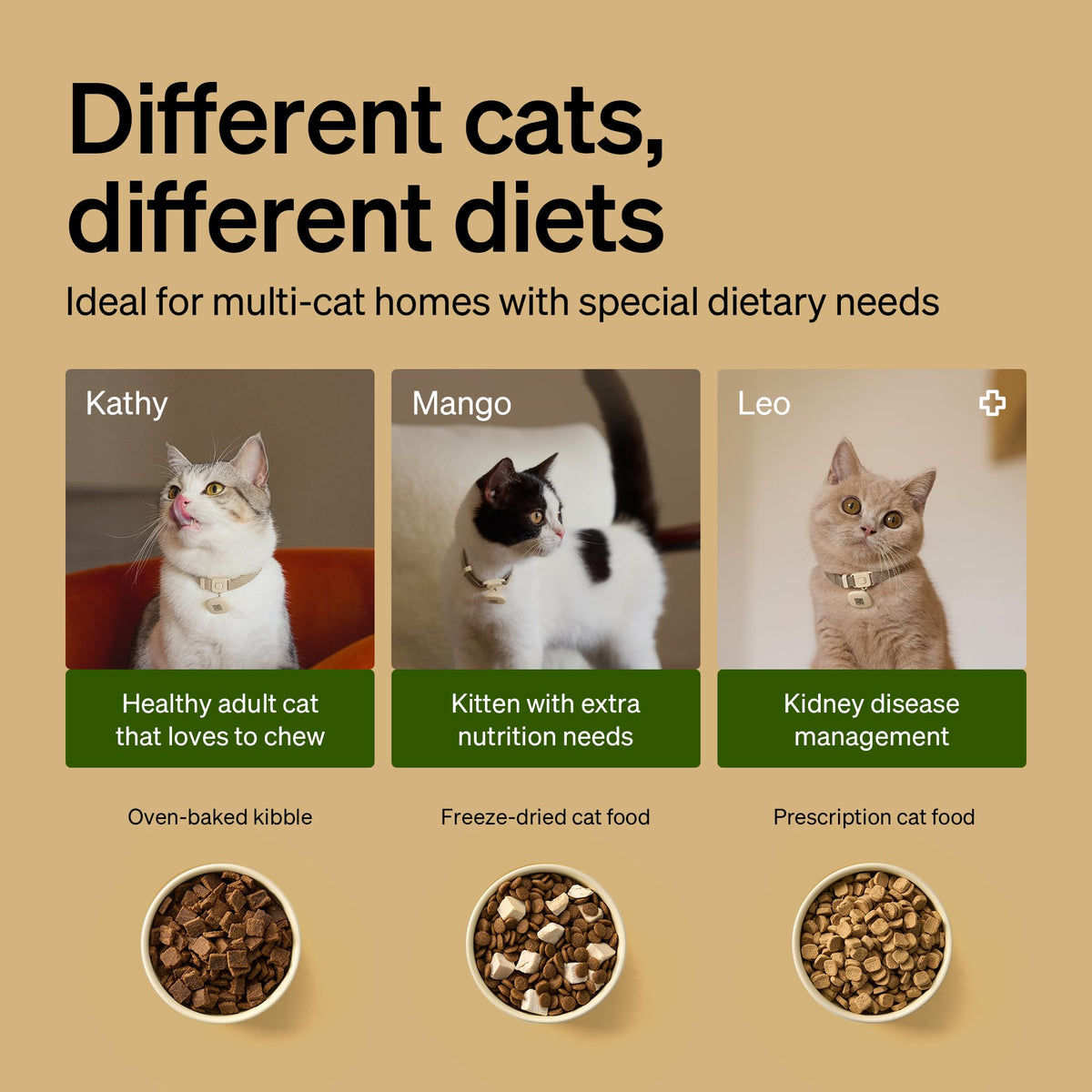 RFID Automatic Cat Feeders for 2 Cats Q209
