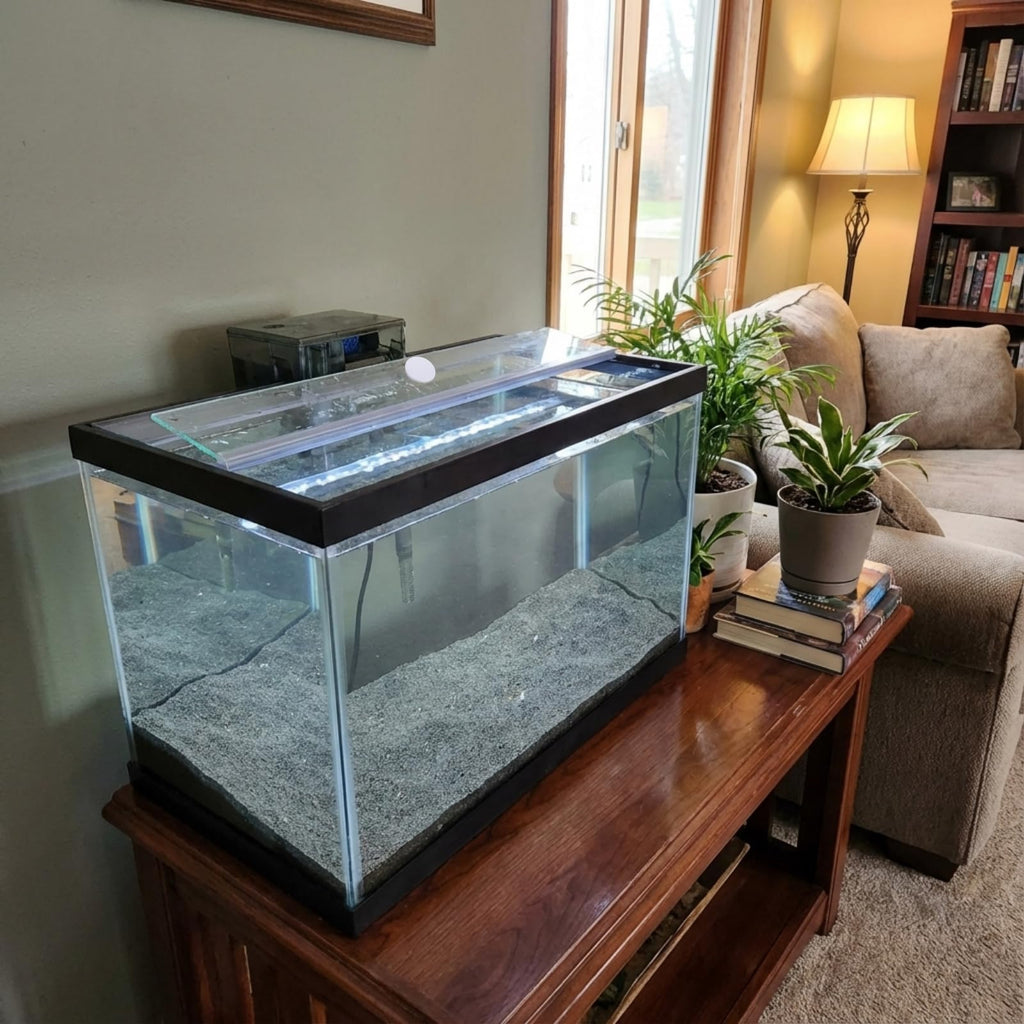 Aquarium Glass Canopy 19.33" x 9.65" x 0.12" T555