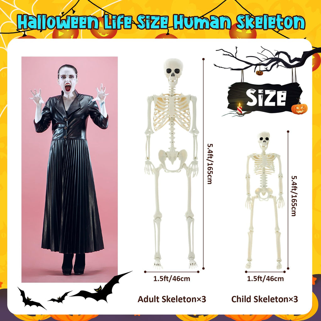 6 Pack Halloween Skeletons 3 5.4ft 3 3ft C791577