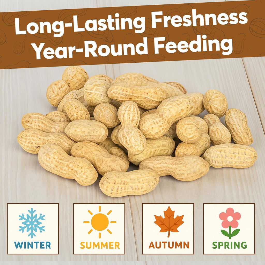 12 LB Raw Peanuts in Shell P774541
