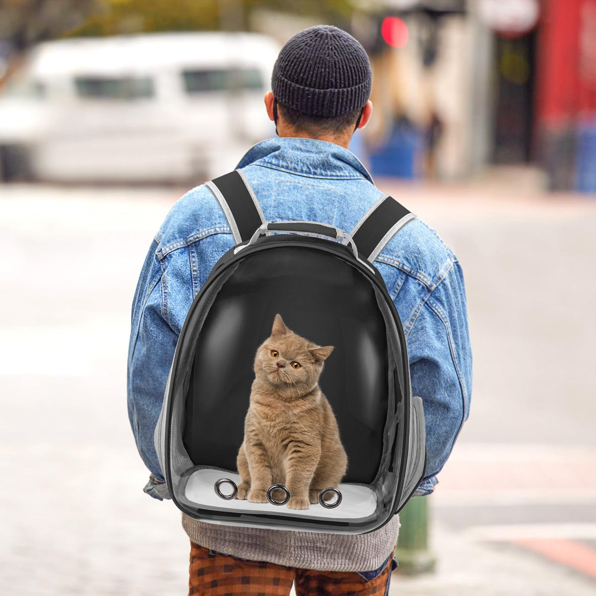 Black Cat Pet Carrier Backpack G69877