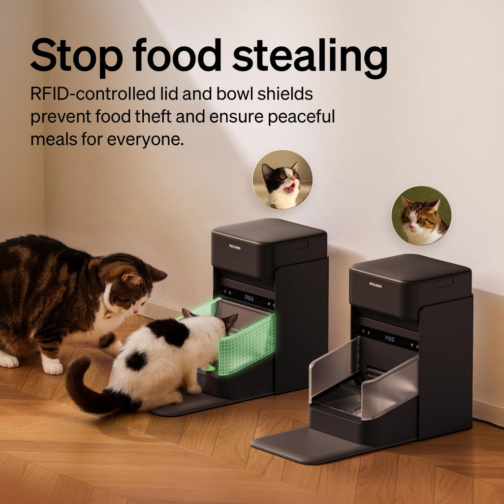 RFID Automatic Cat Feeders for 2 Cats Q209