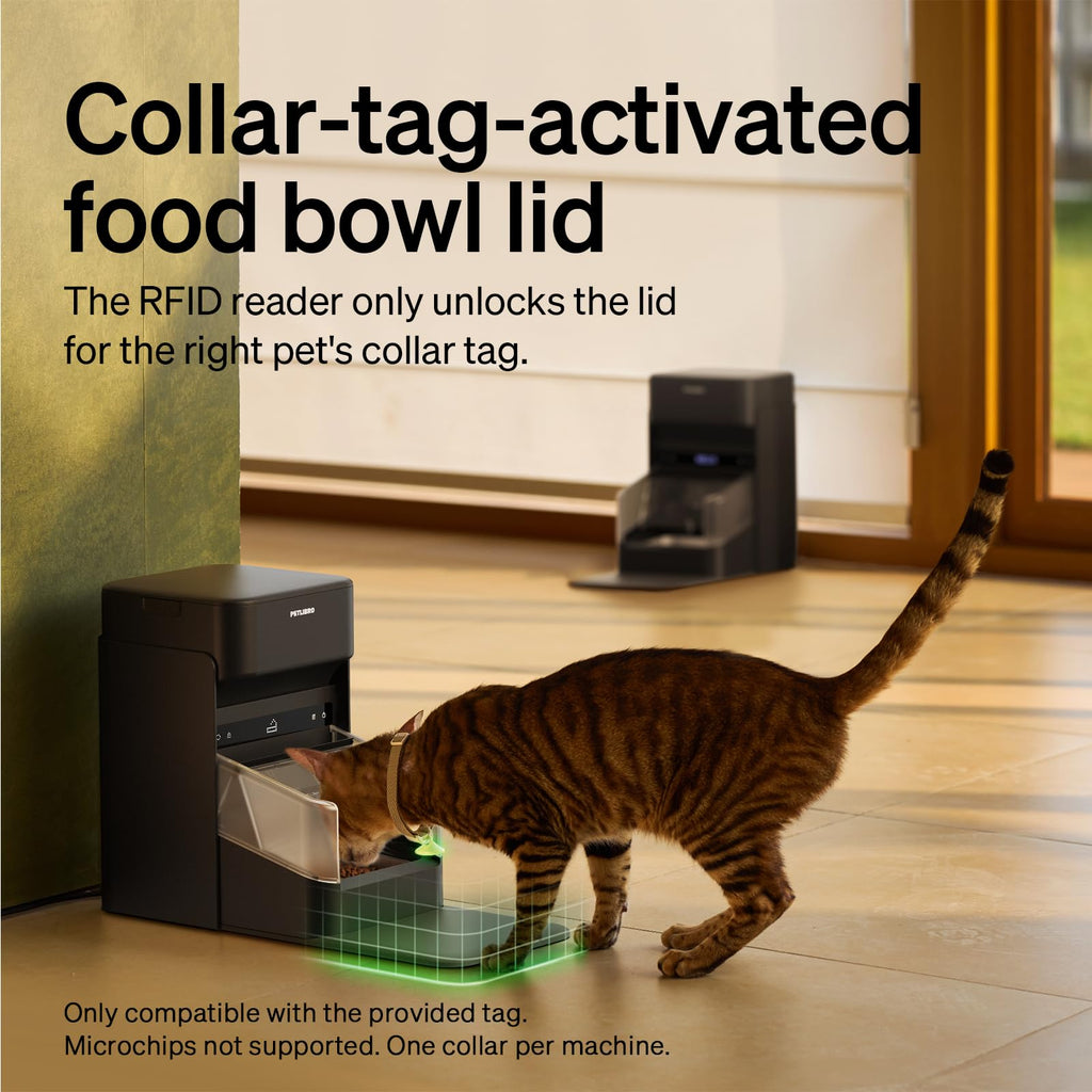 RFID Automatic Cat Feeders for 2 Cats Q209