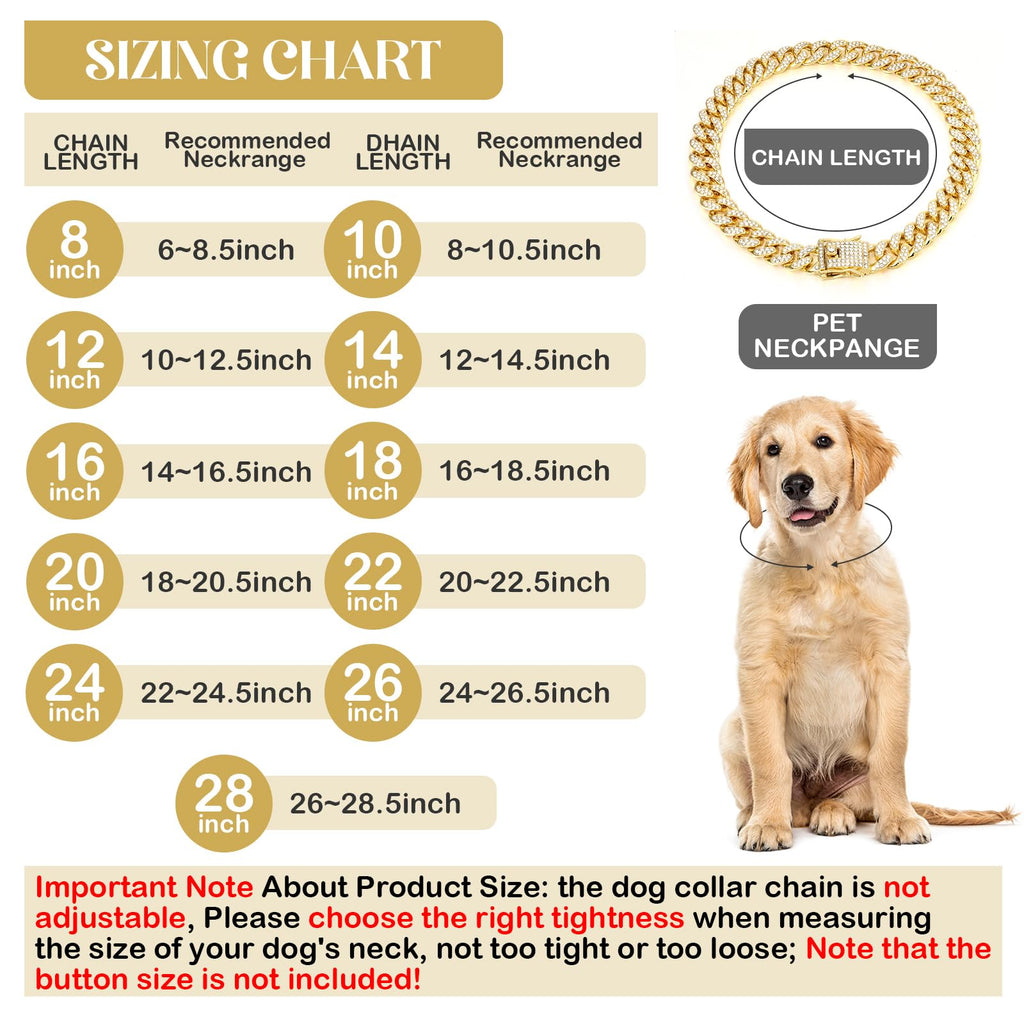 Gold 8 Inch Dog Collar W483869