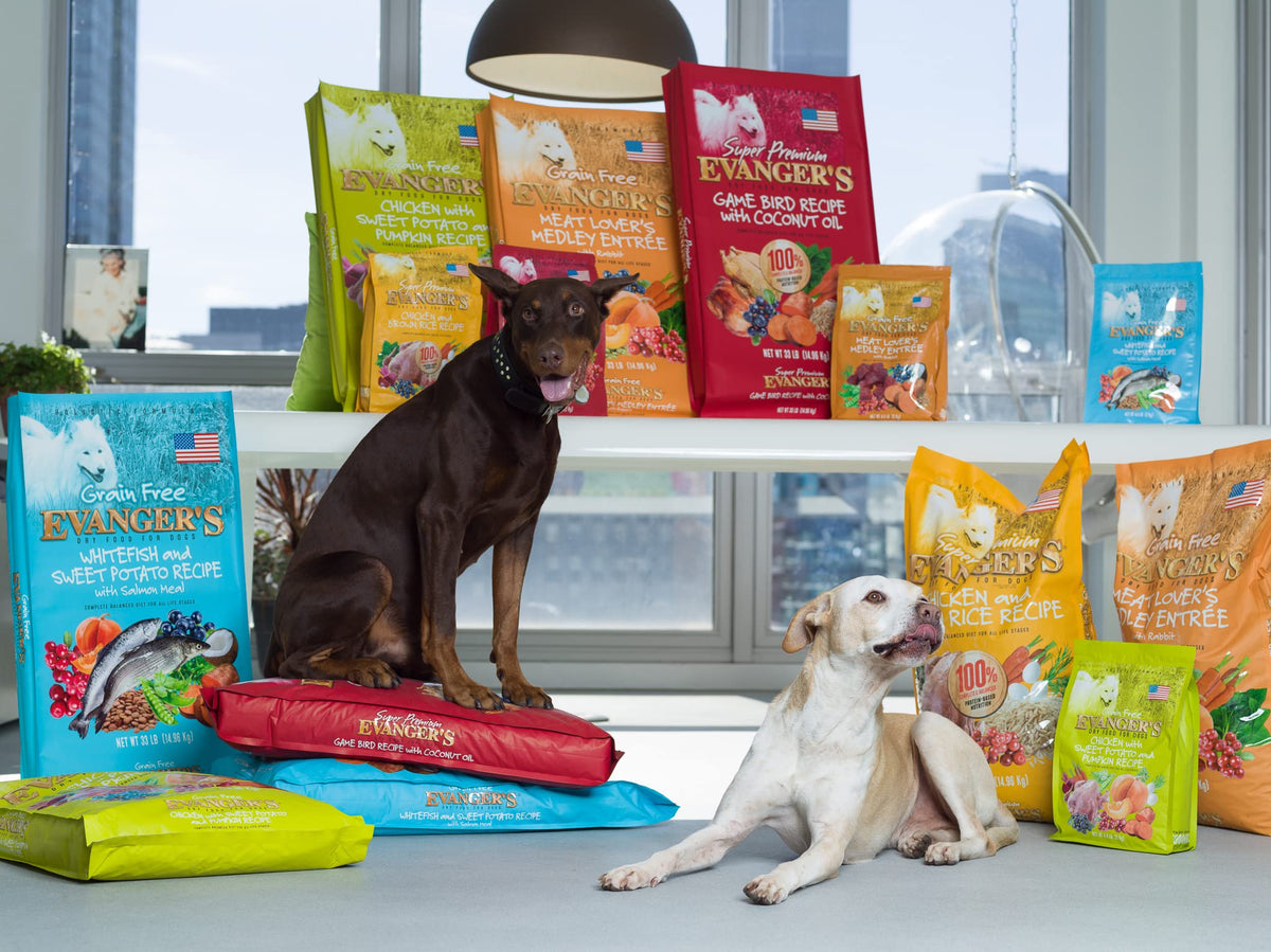 Grain-Free Chicken Sweet Potato Pumpkin Dry Dog Food 16.5 lbs U939