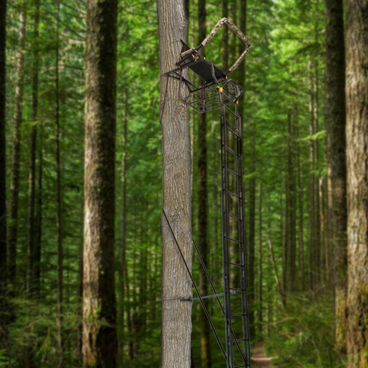 Adjustable 17 ft 1-Person Ladder Tree Stand F922755