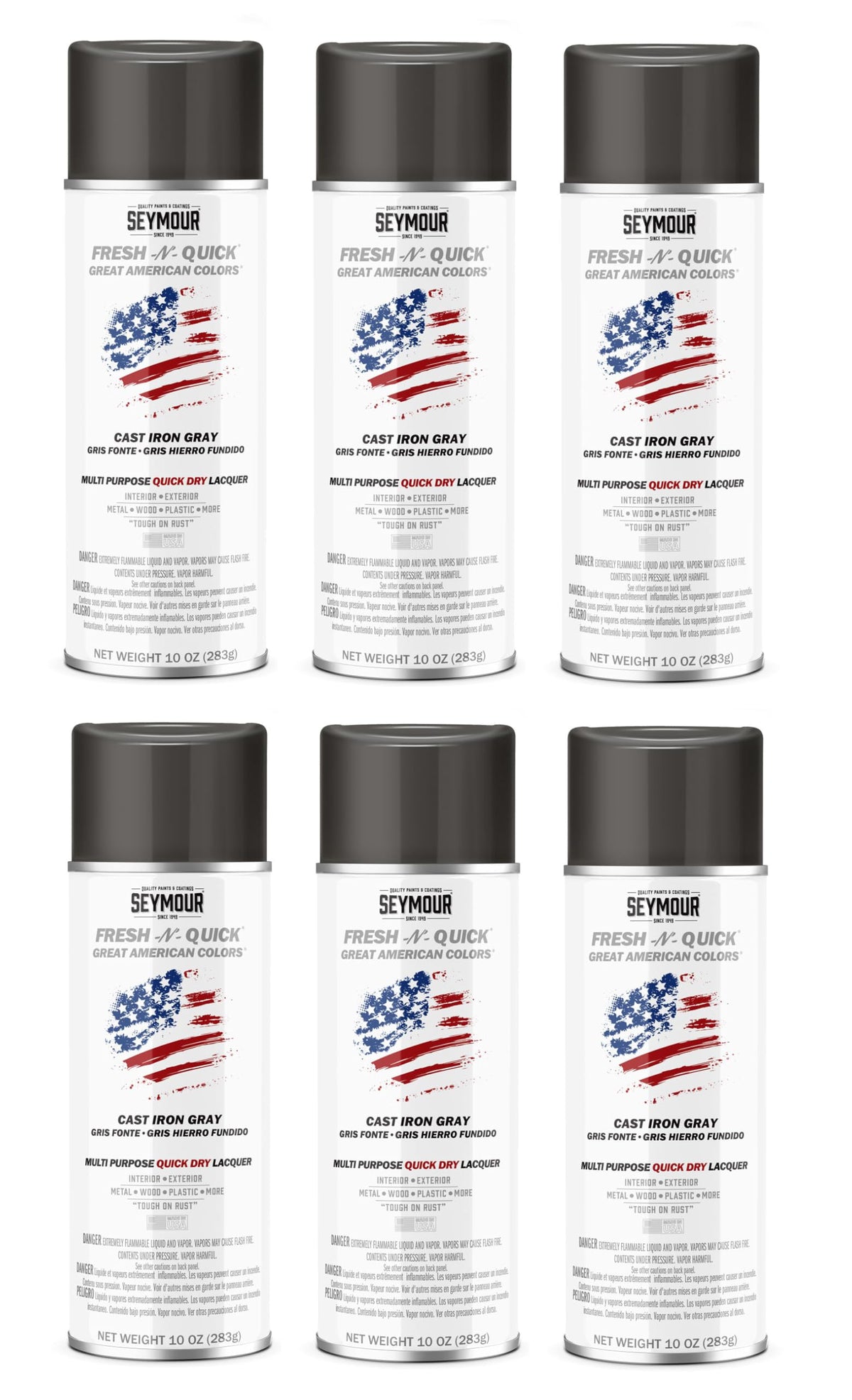 Cast Iron Gray Multi-Purpose Spray Paint 6-Pack A4364
