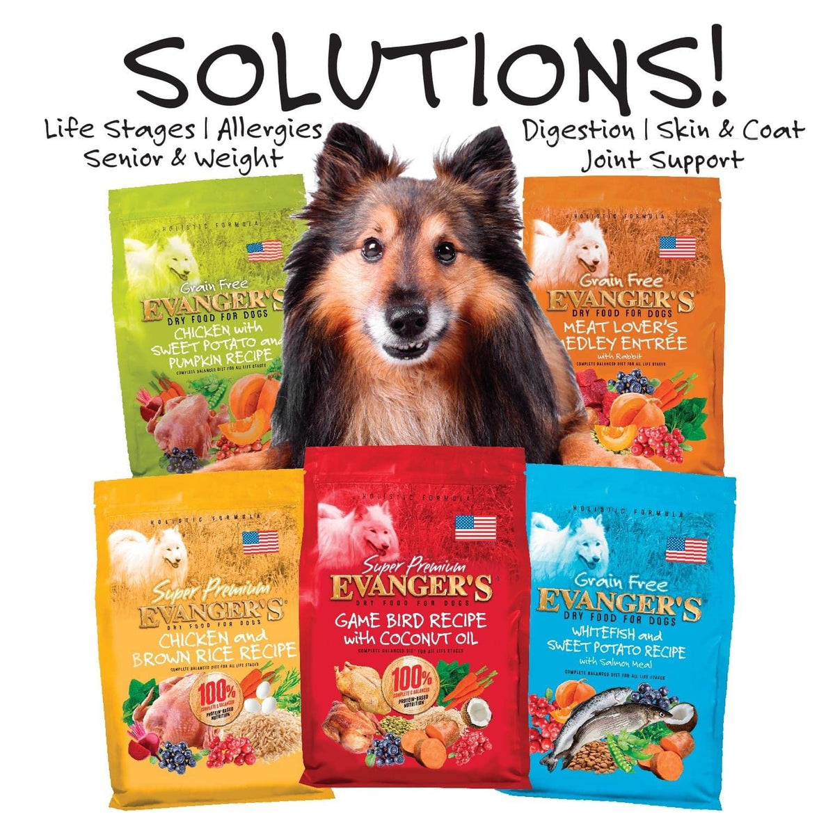 Grain-Free Chicken Sweet Potato Pumpkin Dry Dog Food 16.5 lbs U939