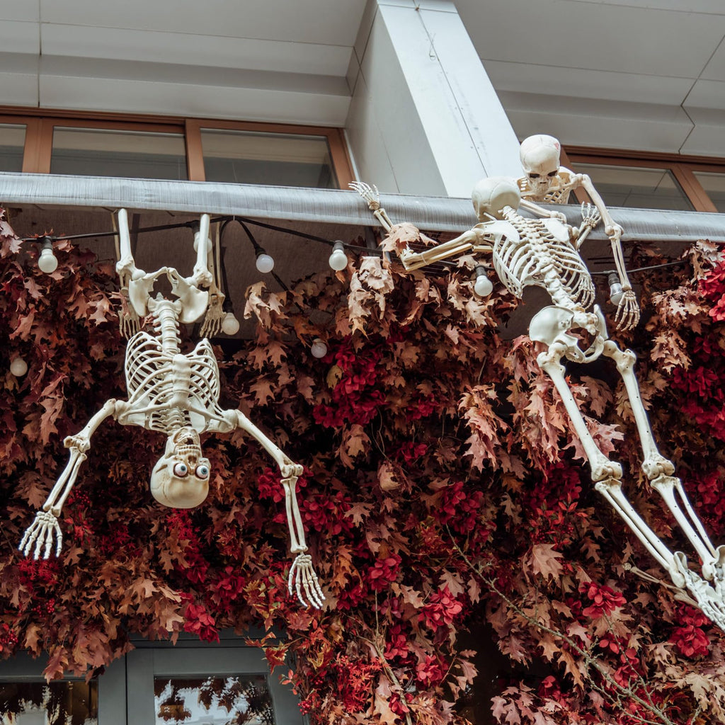 6 Pack Halloween Skeletons 3 5.4ft 3 3ft C791577