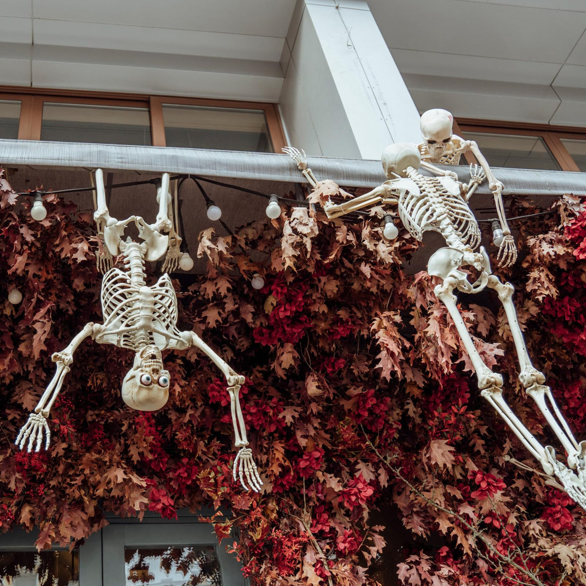 6 Pack Halloween Skeletons 3 5.4ft 3 3ft C791577