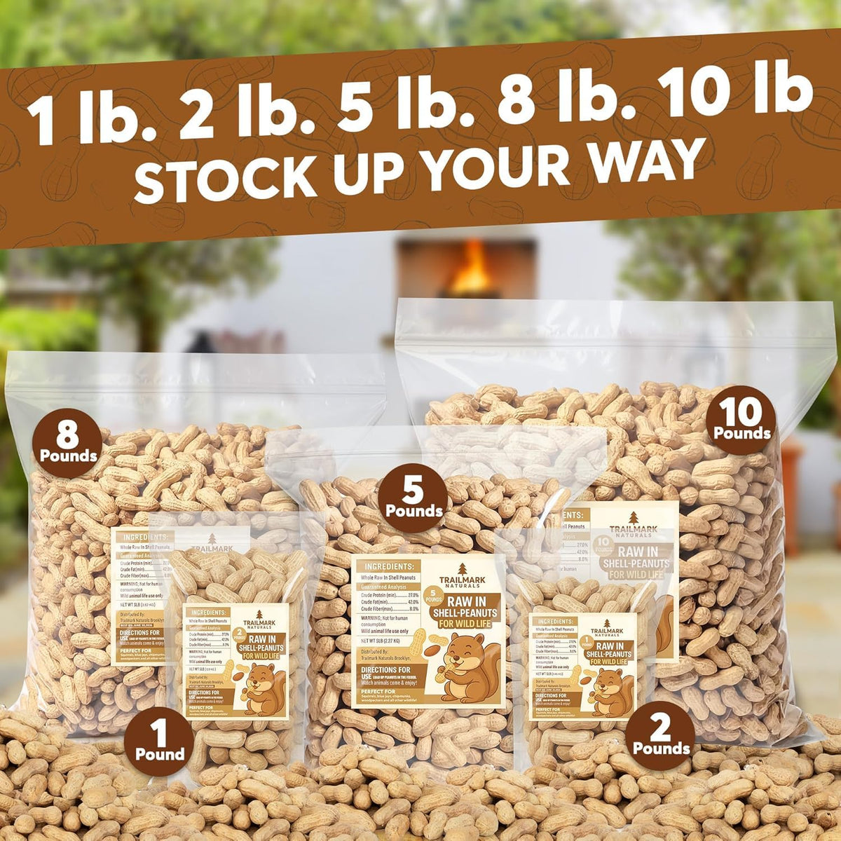 12 LB Raw Peanuts in Shell P774541