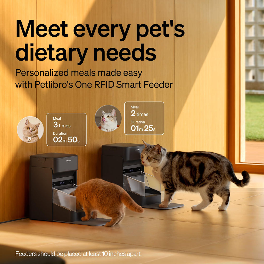 RFID Automatic Cat Feeders for 2 Cats Q209