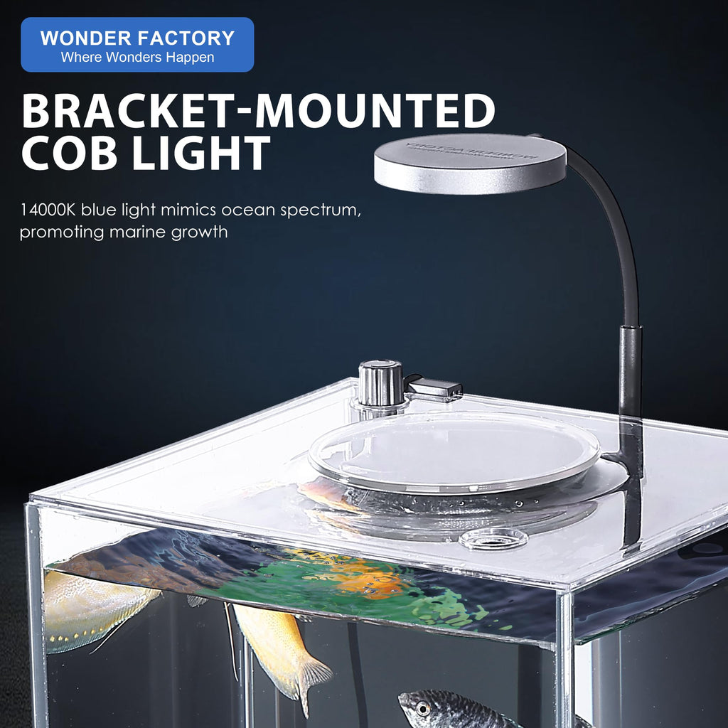 3 Gallon Fish Tank Aquarium J334901