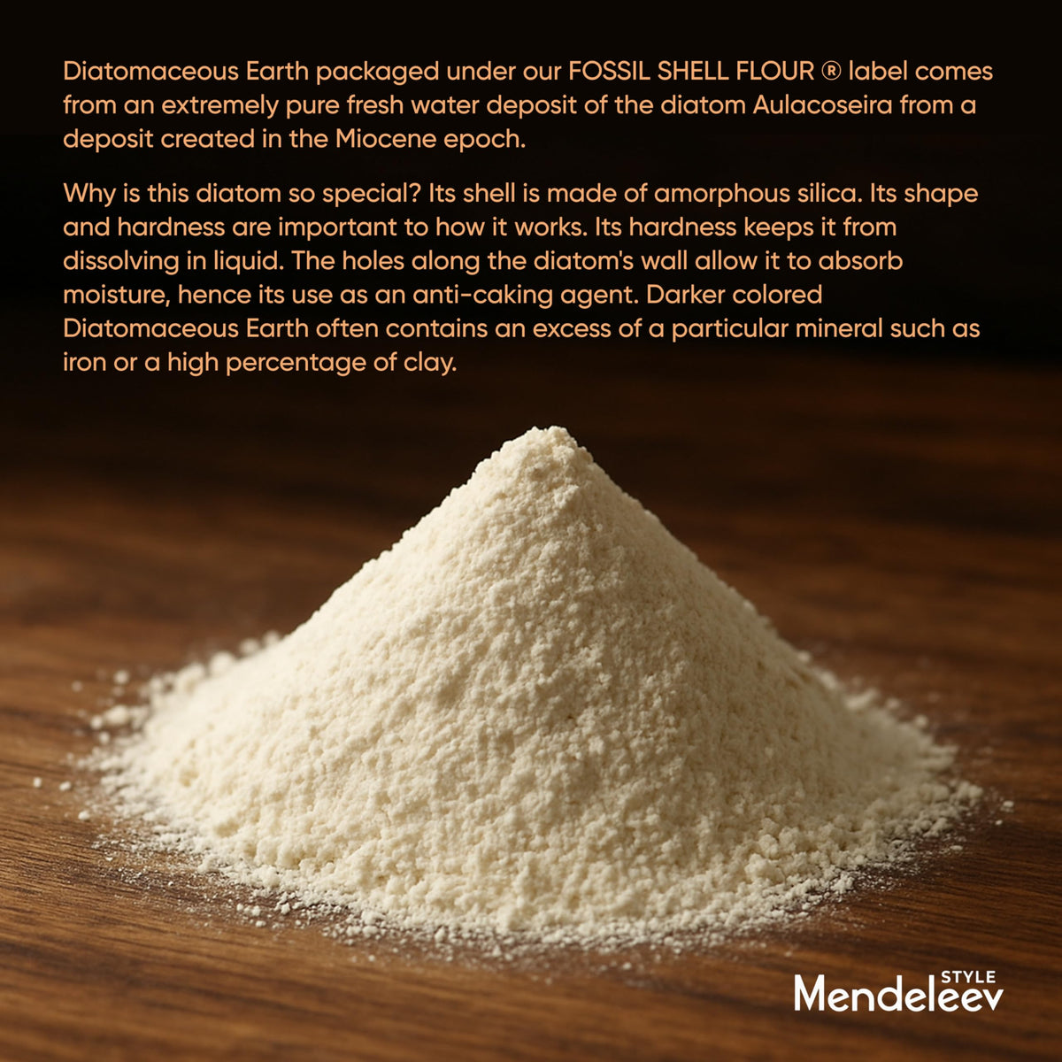 Food Grade Diatomaceous Earth S28221