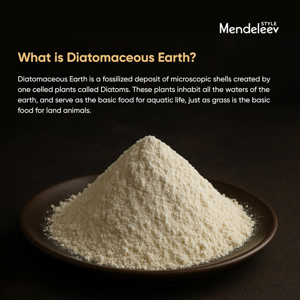 Food Grade Diatomaceous Earth S28221