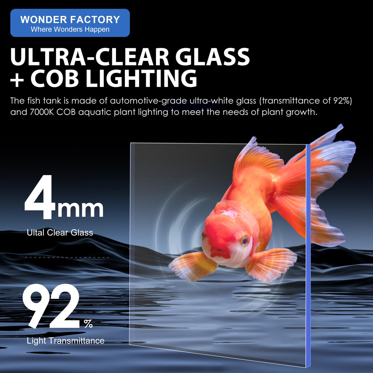 3 Gallon Fish Tank Aquarium J334901
