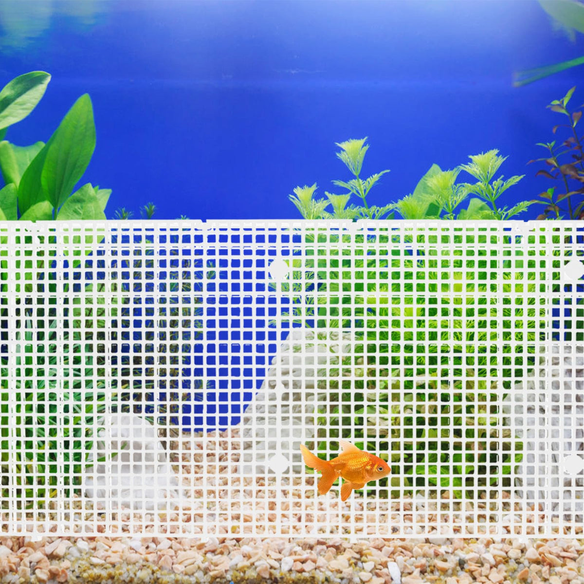 4pcs Cuttable Plastic Aquarium Tank Dividers with Suction Cups E58077