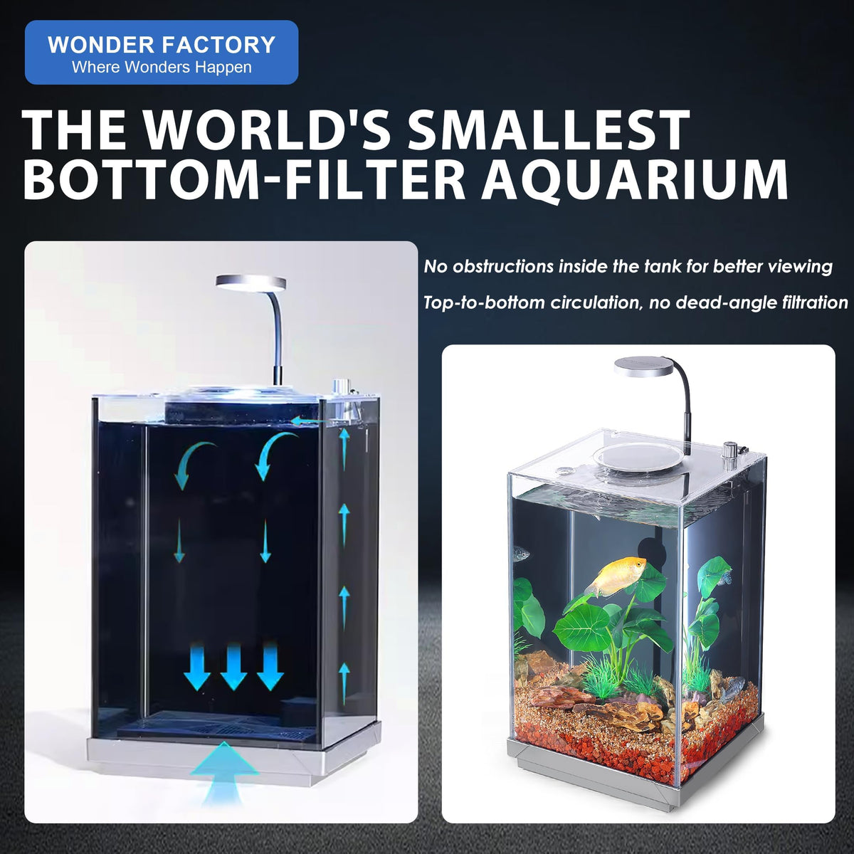 3 Gallon Fish Tank Aquarium J334901