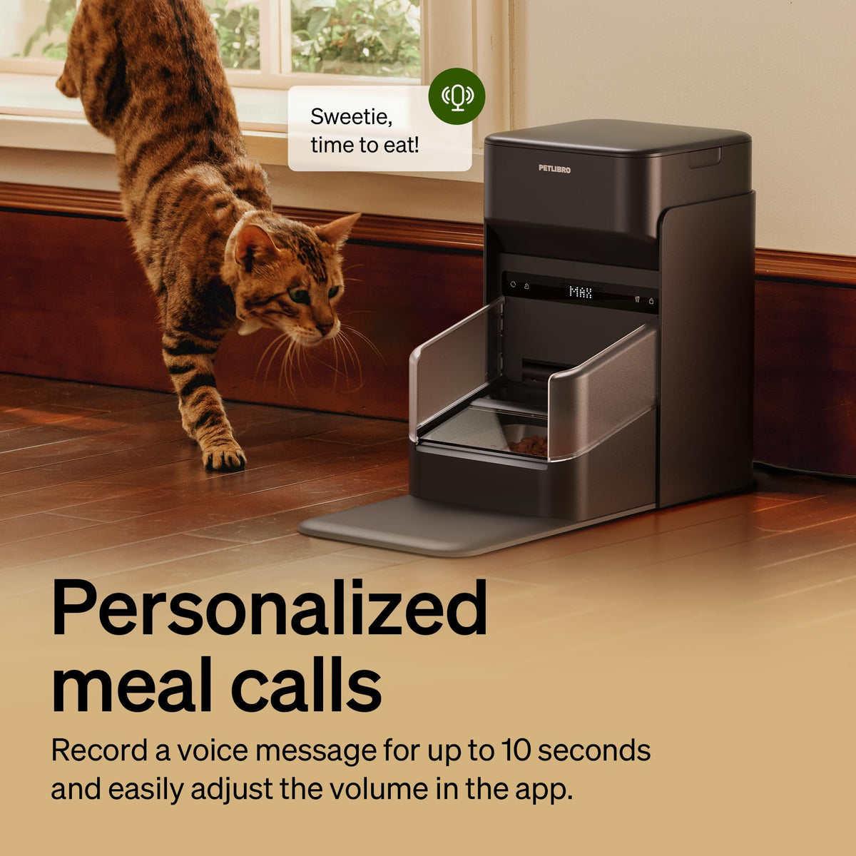 RFID Automatic Cat Feeders for 2 Cats Q209