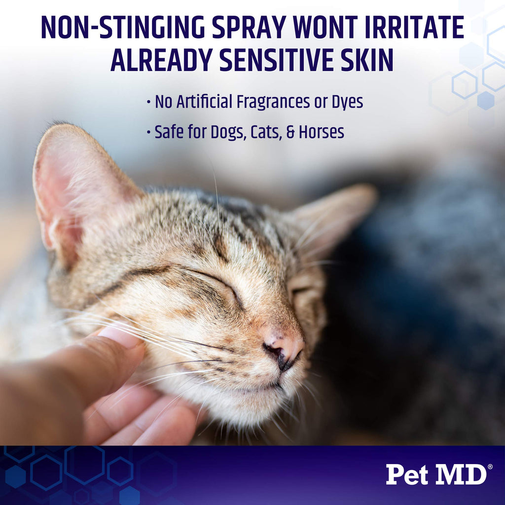 Hydrocortisone Spray 4 oz O5568