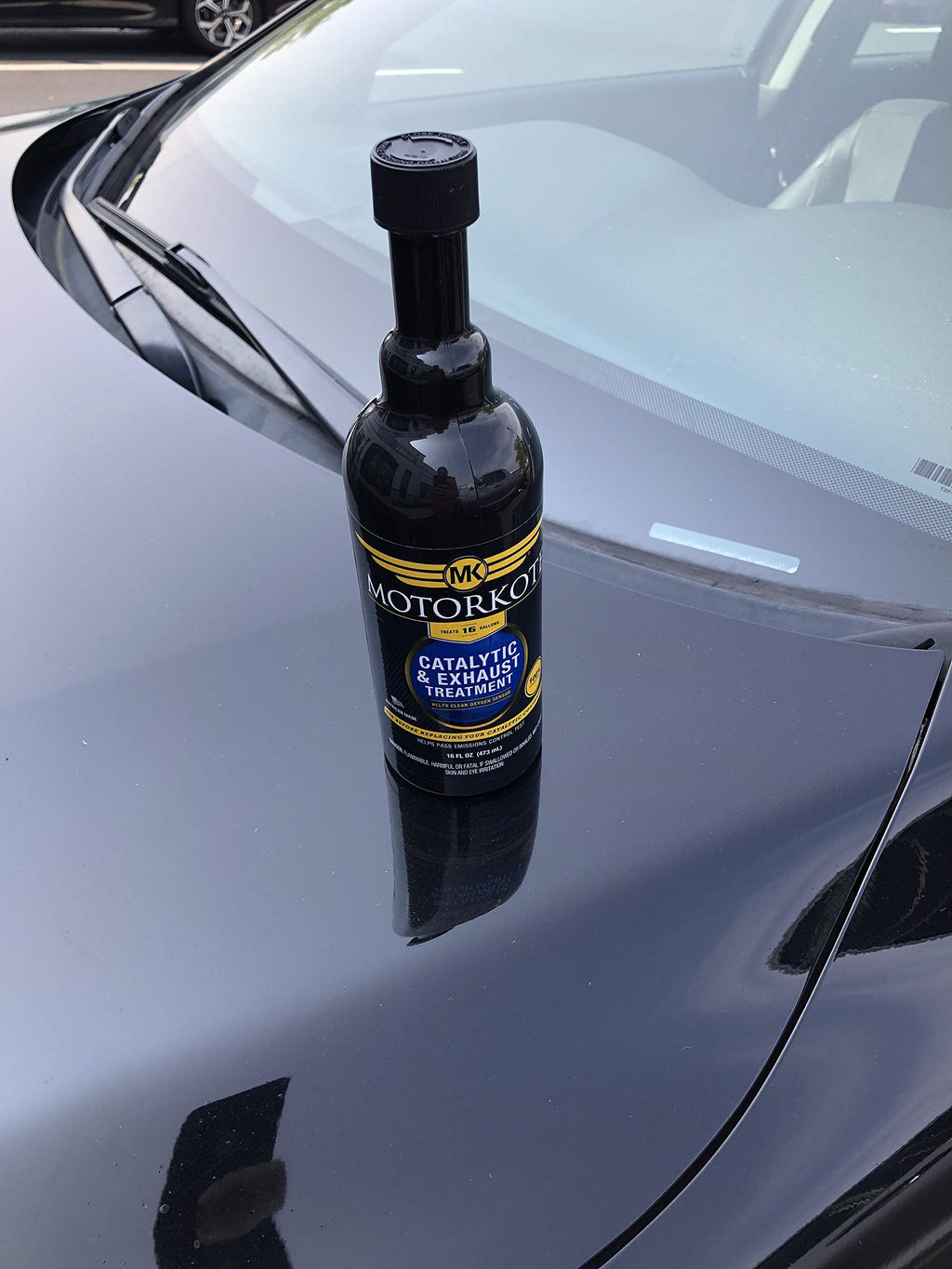 16 oz. Catalytic and Exhaust Treatment A335533