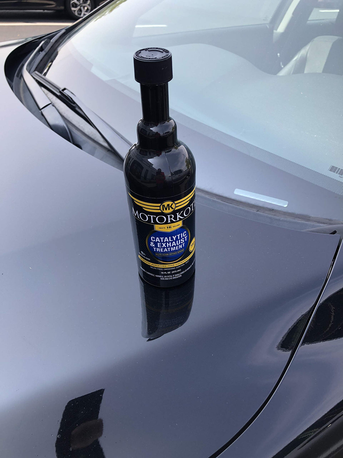 16 oz. Catalytic and Exhaust Treatment A335533