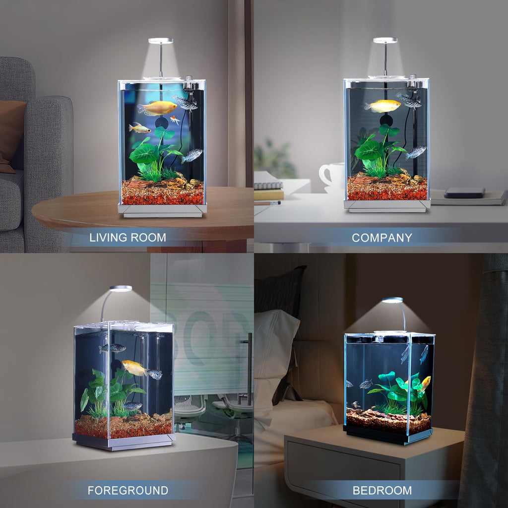 3 Gallon Fish Tank Aquarium J334901