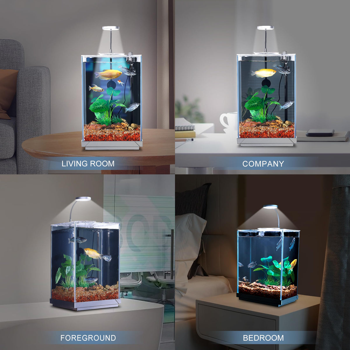 3 Gallon Fish Tank Aquarium J334901