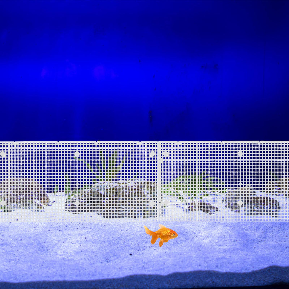 4pcs Cuttable Plastic Aquarium Tank Dividers with Suction Cups E58077