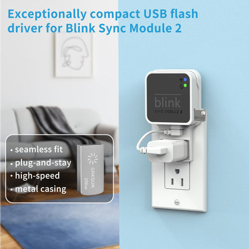 256GB USB Flash Drive with Outlet Wall Mount F2843