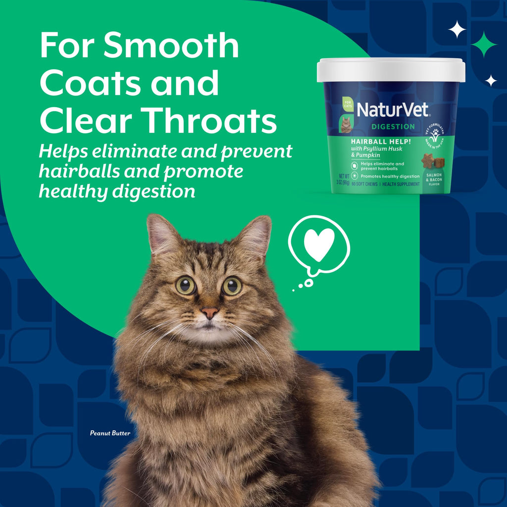 Hairball Aid Supplement for Cats Plus Pumpkin 60 Soft Chews Q934