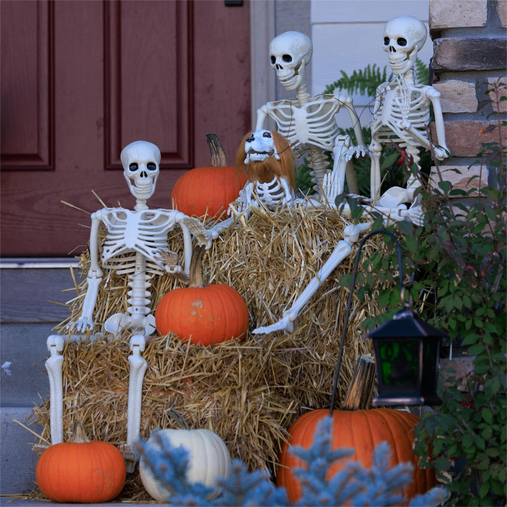6 Pack Halloween Skeletons 3 5.4ft 3 3ft C791577
