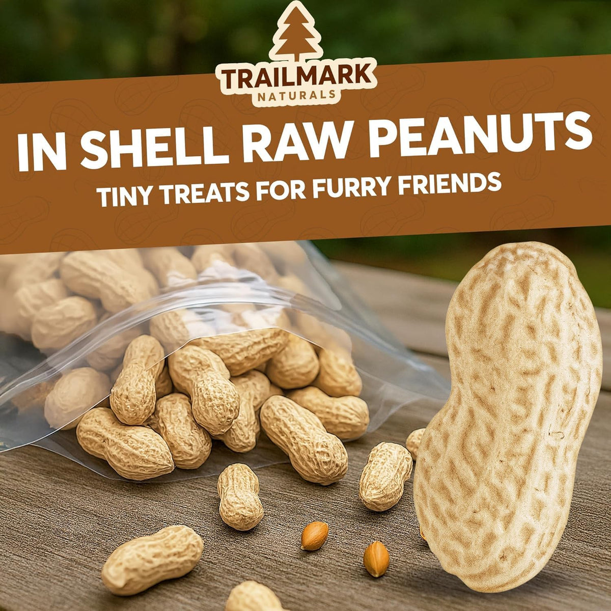 12 LB Raw Peanuts in Shell P774541