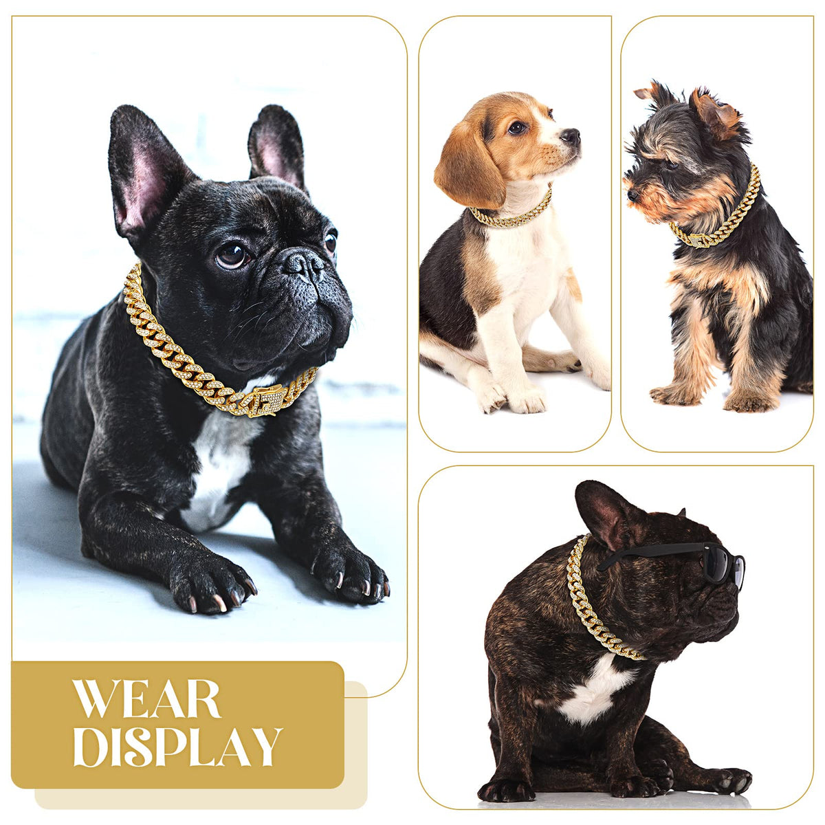 Gold 8 Inch Dog Collar W483869
